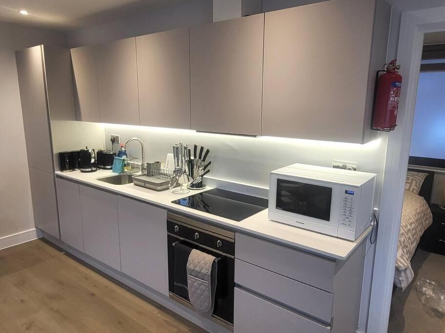 Entire Reigate Apartment Hosted By Pius エクステリア 写真